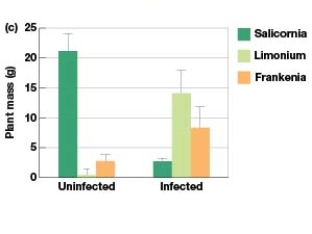 <strong>In Figure 7.4c,which plants mass was greatest prior to being infected with Cuscuta salina?  </strong> A) Salicornia B) Limonium C) Frankenia D) Dodder <div style=padding-top: 35px> 