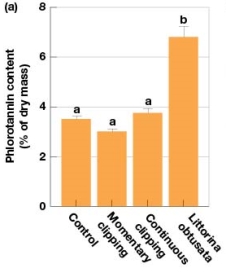 <strong>In Figure 7.7a,simulated herbivory caused Ascophyllum nodosum to produce amounts of phlorotannins similar to which of the following?  </strong> A) The control treatment B) The grazed treatment C) The control and grazed treatment D) Amounts of phlorotannins significantly differed between simulated herbivory treatments and the control <div style=padding-top: 35px> 