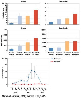 <strong>Explain why in Figure 7.11,vole abundances in experimental enclosures would drop to the same abundance as the control.  </strong> A) This is likely due to voles being preyed upon in the exclosures by predators. B) Competition for food resources likely led to the vole population decline. C) There is no change in vole populations through time. D) The vole population in the exclosures likely included cannibals that reduced the population to that of controls. <div style=padding-top: 35px> 