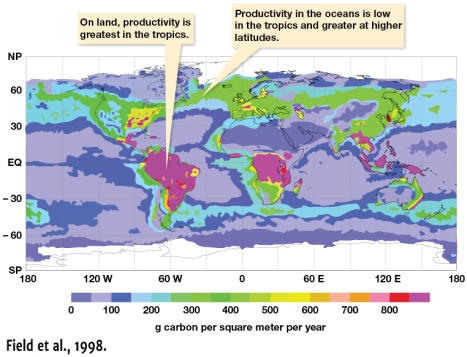 <strong>According to Figure 11.1,where is the annual average rate of net primary productivity greater?  </strong> A) Between 30 degrees north and the equator B) Between 30 degrees south and the equator C) Between 30 degrees north and 60 degrees north D) Between 30 degrees south and 60 degrees south <div style=padding-top: 35px> 