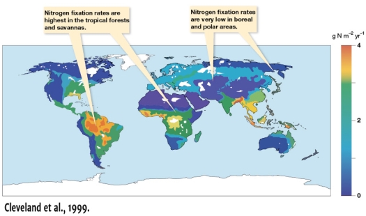 <strong>According to Figure 11.10,which part of North America has a greater rate of nitrogen fixation?  </strong> A) The Gulf of Mexico B) The Pacific Northwest C) New England D) The Great Lakes <div style=padding-top: 35px> 