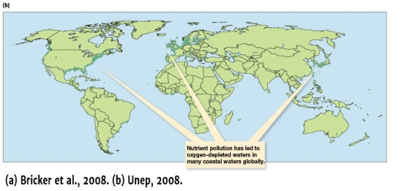 <strong>According to Figure 11.15b,which of the following statements is correct?  </strong> A) There are coastal marine ecosystems and estuaries along the North America Atlantic coastline and throughout the Gulf of Mexico where oxygen levels are too low to fully support animal life B) Throughout Europe there are estuaries or coastal marine ecosystems that have been polluted by nutrients C) There are no coastal marine ecosystems or estuaries along the Atlantic coastline of South America where oxygen levels are too low to fully support animal life D) With the exception of Antarctica, every single continent has polluted estuaries or coastal marine ecosystems with nutrient pollution <div style=padding-top: 35px> 
