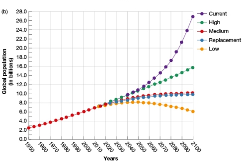 According to Figure 14.5b,what is the range of values the global population is estimated to be in 2100 using current and medium fertility rates?