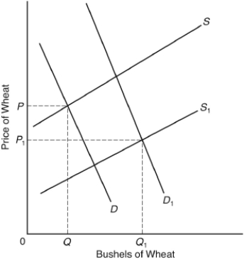 <strong>The following questions are based on the following graph: The curves D and S represent the market demand and supply curves for wheat in 1960. The curves D₁ and S₁ represent the market demand and supply curves in 2000. Assume there were no support programs in either year. In the graph</strong> A) demand rose and supply fell. B) demand fell and supply rose. C) both demand and supply fell. D) both demand and supply rose. E) demand and supply remained unchanged, but the quantity demanded rose and the quantity supplied fell.