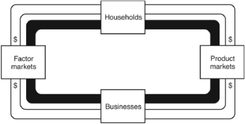 <strong>The following questions are based on the following circular flow diagram: In a free market,the price system provides for an adequate rate of growth by</strong> A) making the augmentation of a society's resources unprofitable. B) ensuring an upward-sloping supply curve. C) meeting each consumer's demand. D) providing strong incentives for firms to introduce new technology. E) ensuring that each good is produced in the proper amount.