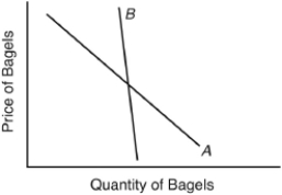 <strong>This diagram shows hypothetical demand curves for individuals A and B. The differences in their slopes suggest that consumer A and consumer B</strong> A) have very different income levels. B) have different tastes. C) are not subject to the law of diminishing marginal utility. D) are charged different prices for the same commodity. E) are offered different amounts to purchase.