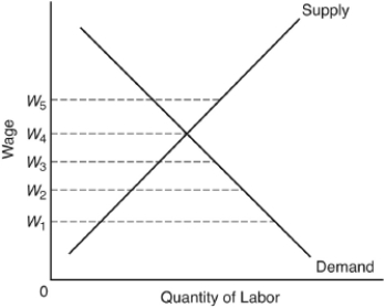 <strong>The following questions are based on the following graph depicting a perfectly competitive labor market: This is an equilibrium because</strong> A) no worker wishes to work for a lower wage. B) a higher wage would produce an excess supply; a lower wage would produce an excess demand. C) at a wage above this, employers are not willing to hire any workers. D) this wage is consistent with union ambitions. E) higher or lower wages generate shifts in the supply and demand curve to restore that wage.