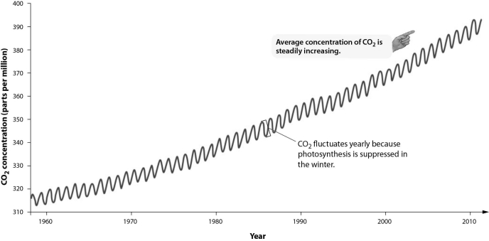 -According to the graph, by how many parts per million has the concentration of atmospheric carbon dioxide changed between 1980 and 2010?