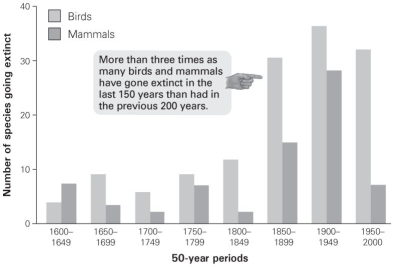 <strong>  According to this graph, when did the extinction rate in mammals exceed that of birds, if at all?</strong> A) 1600-1649 B) 1700-1749 C) 1800-1849 D) 1900-1949 <div style=padding-top: 35px> 