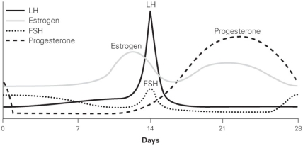 <strong>  In the graph depicting the levels of various hormones, what event would prevent the decline in estrogen and progesterone seen toward the end of the 28-day menstrual cycle?</strong> A) a subsequent ovulation event B) the maturation of another follicle C) fertilization D) degeneration of the corpus luteum <div style=padding-top: 35px> 