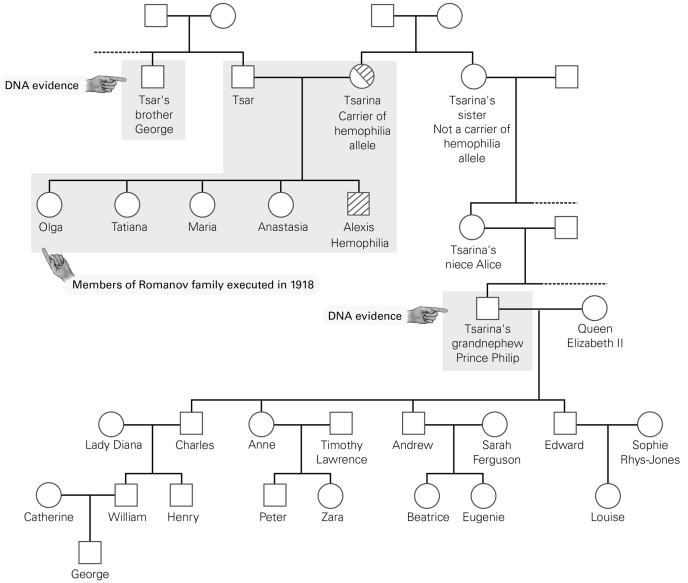 <strong> Which member(s) of the Romanov family shared DNA sequences with England's Prince Philip?</strong> A) both the tsar and the tsarina B) only the tsar C) only the tsarina D) neither the tsar nor the tsarina