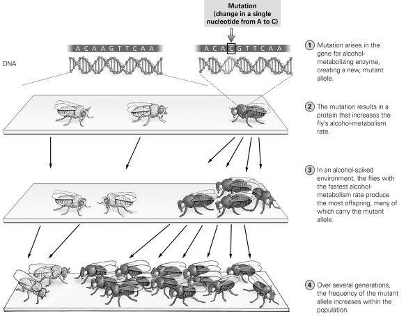 -How would you describe the gene changes shown in this figure?