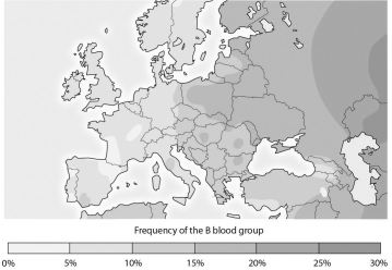 <strong> How does the distribution shown on the map of alleles for the B blood type support the hypothesis that there are no biological races of humans?</strong> A) All human groups show the same frequency of this allele. B) A distinct frequency pattern of this allele is found in each human group. C) A gradient of frequency of the allele is found from its origin in Asia outward to Europe. D) There's no pattern with respect to frequency of this allele throughout Asia and Europe.