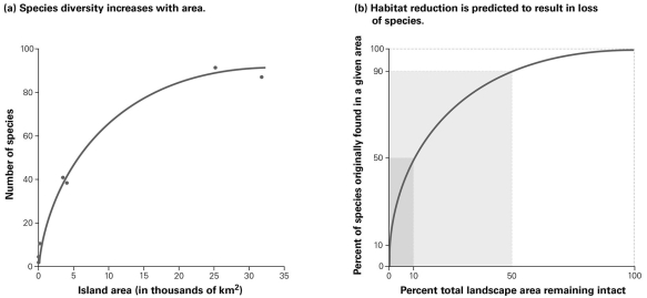 <strong>  According to this species-area curve for reptiles and amphibians on a West Indian archipelago, how will the number of species living in the area change if the original area was decreased by 50%?</strong> A) +50% B) −50% C) −90% D) −10% <div style=padding-top: 35px> 