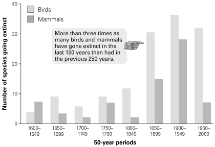 <strong>  According to this graph, when did the extinction rate in mammals exceed that of birds, if at all?</strong> A) 1600-1649 B) 1700-1749 C) 1800-1849 D) 1900-1949 <div style=padding-top: 35px> 
