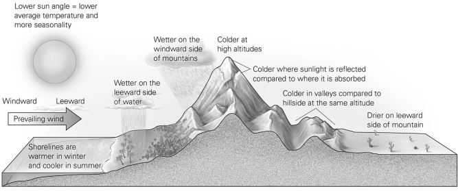 <strong> As depicted in this illustration, where does the most rainfall generally occur?</strong> A) on the windward side of a body of water B) on the leeward side of a body of water C) on the leeward side of a mountain D) at high altitudes on a mountain