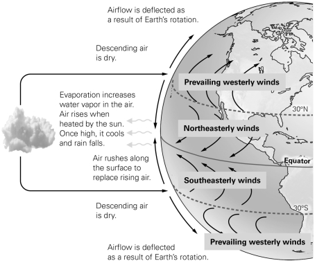 <strong> In which general direction do the prevailing winds blow between 30° North and the equator?</strong> A) from south to north B) from east to west C) from north to south D) from southwest to northeast