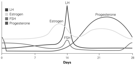 <strong> In the graph depicting the levels of various hormones, what event would prevent the decline in estrogen and progesterone seen toward the end of the 28-day menstrual cycle?</strong> A) a subsequent ovulation event B) the maturation of another follicle C) fertilization D) degeneration of the corpus luteum