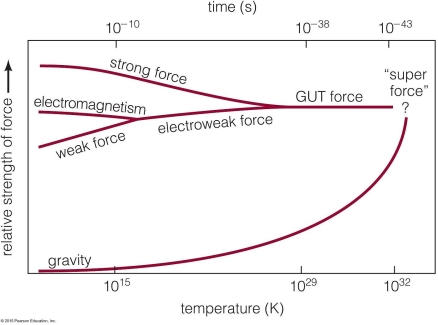 <strong> This figure shows the relative strength of the four basic forces as a function of temperature. At what temperature does the strong force become distinct from the electroweak force?</strong> A)about 1032 K B)about 1027 K C)about 1015 K D)These forces were never unified.