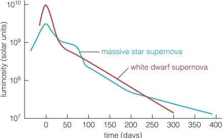 <strong> This figure shows how the luminosity of supernovae change over time. How long does it take a white dwarf supernova to decrease in luminosity by a factor of 100 from its peak?</strong> A)about 200 days B)about 100 days C)about 300 days D)about 25 days