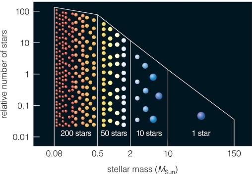 <strong> This schematic shows the number of stars formed in each mass range for each star more massive than 10 MSun. What is the mass range of the most common stars?</strong> A)0)08 - 0.5 MSun B)10 - 150 MSun C)2 - 10 MSun D)0)5 - 2 MSun