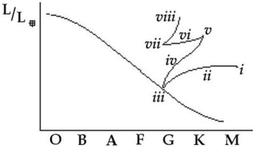 <strong>The following questions refer to the H-R diagram below that shows the life track of a 1-solar-mass star,with various stages labeled with Roman numerals. During which stage does the star have an inert (nonburning)carbon core?</strong> A)ii B)iii C)iv D)vi E)viii
