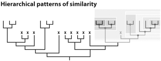 In the figure above,the hierarchically arrayed groups indicated by the shaded grey boxes are called