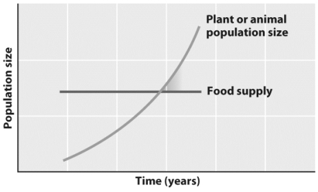 A) B) Compare Darwin's adaptation of Malthus' argument to plants and animals in nature (Graph A)with Graph B,representing Malthus' original argument.