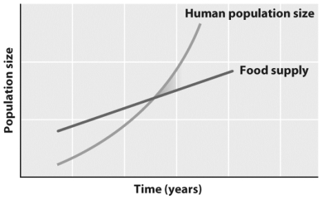 A) B) Compare Darwin's adaptation of Malthus' argument to plants and animals in nature (Graph A)with Graph B,representing Malthus' original argument.