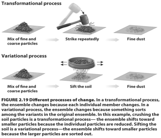   Before Darwin,scientists such as Lamarck envisioned evolutionary change as transformational-properties of an ensemble change because every member of the ensemble changes.Darwin's theory of evolutionary change was,by contrast,a variational one-the properties of an ensemble change because of the action of some sorting process acting on preexisting variation within the ensemble.Referring to the figure above,describe the kind of sorting process that takes place (a)when we use artificial selection to change the characteristics of a breed of animals or plants and (b)when natural selection operates on a population.<div style=padding-top: 35px> 