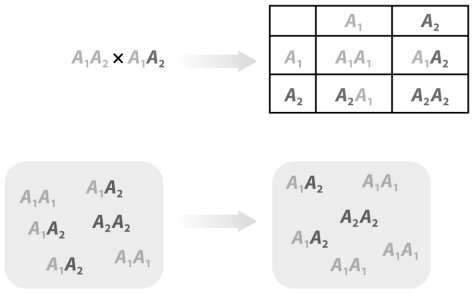 <strong>When considering the following figure,the top panel refers to _________ and the bottom panel refers to _________. </strong> A)population-level thinking; individual-level thinking B)individual-level thinking; population-level thinking C)Yule-thinking; Mendel-thinking D)evolutionary thinking; ecological thinking E)geographic thinking; spatial thinking