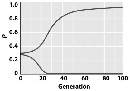 <strong>The figure below demonstrates that </strong> A)frequency dependent selection results in a stable polymorphism. B)the frequency of the A₁ allele (p) will always go to fixation. C)the frequency of the A₁ allele (p) will always go to zero. D)the frequency of the A₁ allele (p) may go to one or zero depending on the initial value of p. E)frequency selection leads to the random loss of alleles.