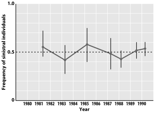 <strong> The figure above documents the changing allelic frequency of the sinistral morph of a Lake Tangyanikan cichlid.This figure is an example of</strong> A)positive frequency dependent selection. B)negative frequency dependent selection. C)overdominance. D)balancing selection. E)B and D