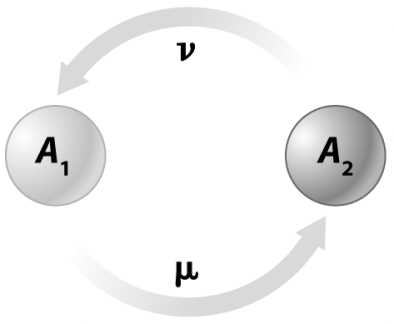 In the following figure,m is the mutation rate from allele A₁,which produces a functional protein,to A₂,an allele that fails to produce a functional protein.The reverse mutation rate,n,describes the mutation rate from A₂,the nonfunctioning allele,to A₁,the functional protein allele.Why would one expect the value of m to be much higher than the value of n at this locus?