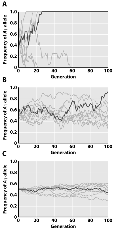 Which of the following graphs depicts the group with the largest populations? Explain your reasoning.