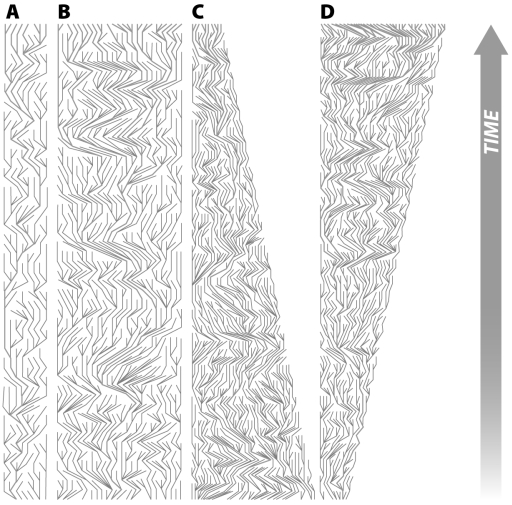 In which of the demographic patterns in the figure below would you expect the final coalescent event to be most recent? Explain your answer.