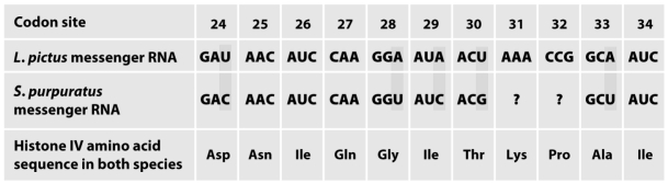 How do the data in the following table support the neutral theory?