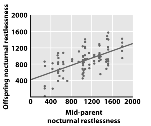 <strong>In the figure below,what does the straight line indicate? </strong> A)The broad-sense heritability B)The narrow-sense heritability C)The norm of reaction of nocturnal restlessness D)None of the above E)All of the above