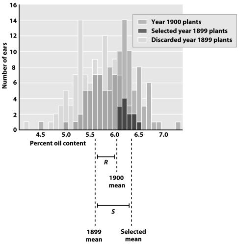 <strong>The figure below describes the percent oil content in corn from different generations.What is the expected slope of a parent-offspring regression for corn oil content? </strong> A)0.69 B)1.6 C)2.1 D)2.5 E)Cannot be determined based on the information provided