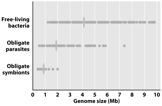 <strong>Refer to the figure below to answer the following question.A researcher discovers a new bacteria whose genome is ~8 Mb in size.What type of bacteria is this likely to be? </strong> A)Free-living B)Obligate parasite C)Obligate symbiont D)Any of the above E)Cannot be determined from the information provided