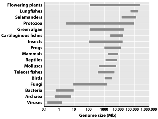 In the figure below,what is the range of genome size for protozoa? What does this tell us about the relationship between genome size and organismal complexity?