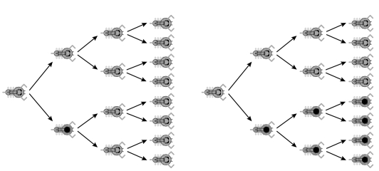 The figures below illustrate two lineages with two variants: with and without a black spot.The arrows point to the descendants of the individual.In which situation can natural selection work?