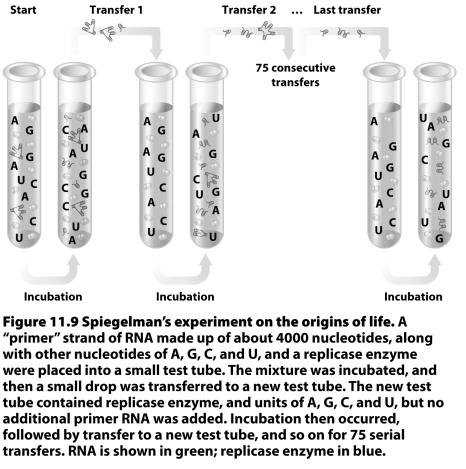 Why was it necessary to do serial transfers in the experiment illustrated above?
