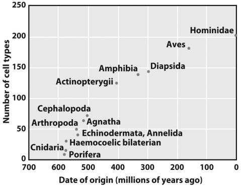 <strong>According to the graph below,which of the following relationships between cell-type numbers is correct?  </strong> A)Hominidae < Aves C)Cnidaria < Porifera B)Cephalopoda < Actinopterygii D)Amphibia < Echniodermata <div style=padding-top: 35px> 