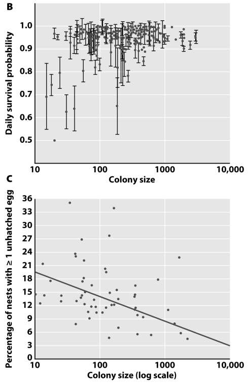 <strong>  The benefits of colony living in cliff swallows are</strong> A)increased adult survival and decrease in the number of hatched eggs. B)increased adult survival and decrease in the number of unhatched eggs. C)decreased adult survival and decrease in the number of hatched eggs. D)decreased adult survival and decrease in the number of unhatched eggs. <div style=padding-top: 35px> 