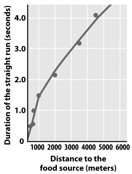 <strong>The figure below illustrates the relationship between the distance to a food source and a portion of the honeybee dance in the hive.If a forager returned to the hive with food and did a straight run of 1.5 seconds,how far would other foragers go to find food?  </strong> A)500 meters C)2000 meters B)1000 meters D)4000 meters <div style=padding-top: 35px> 