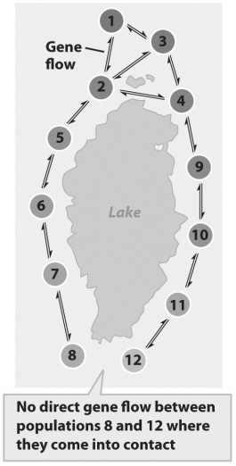 If each number represents a population,the figure above illustrates an example of