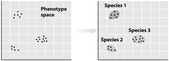 In the graphs below,what do the axes represent? Which species concept is illustrated by these graphs?  <div style=padding-top: 35px> 