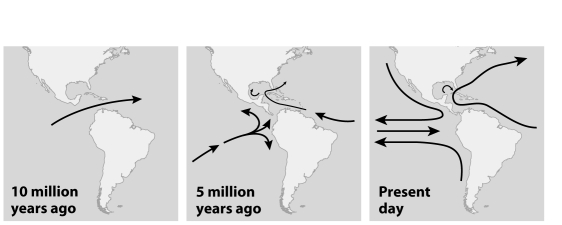 The figure below shows the geological history of North and South America and the closing of the Isthmus of Panama.If a single species was distributed throughout the region indicated by the arrow in the left-most panel,and today is found as two separate species,one in the Atlantic Ocean and one in the Pacific,is this allopatric speciation likely to be an example of the dumbbell model or the peripheral isolate model? Why?