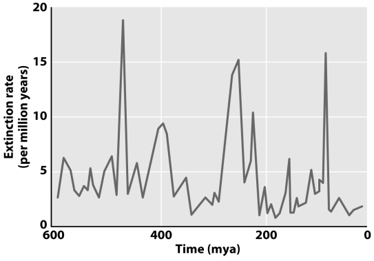The graph below shows extinction rates during different periods of Earth's history.How many mass extinction events do scientists commonly infer from these data?